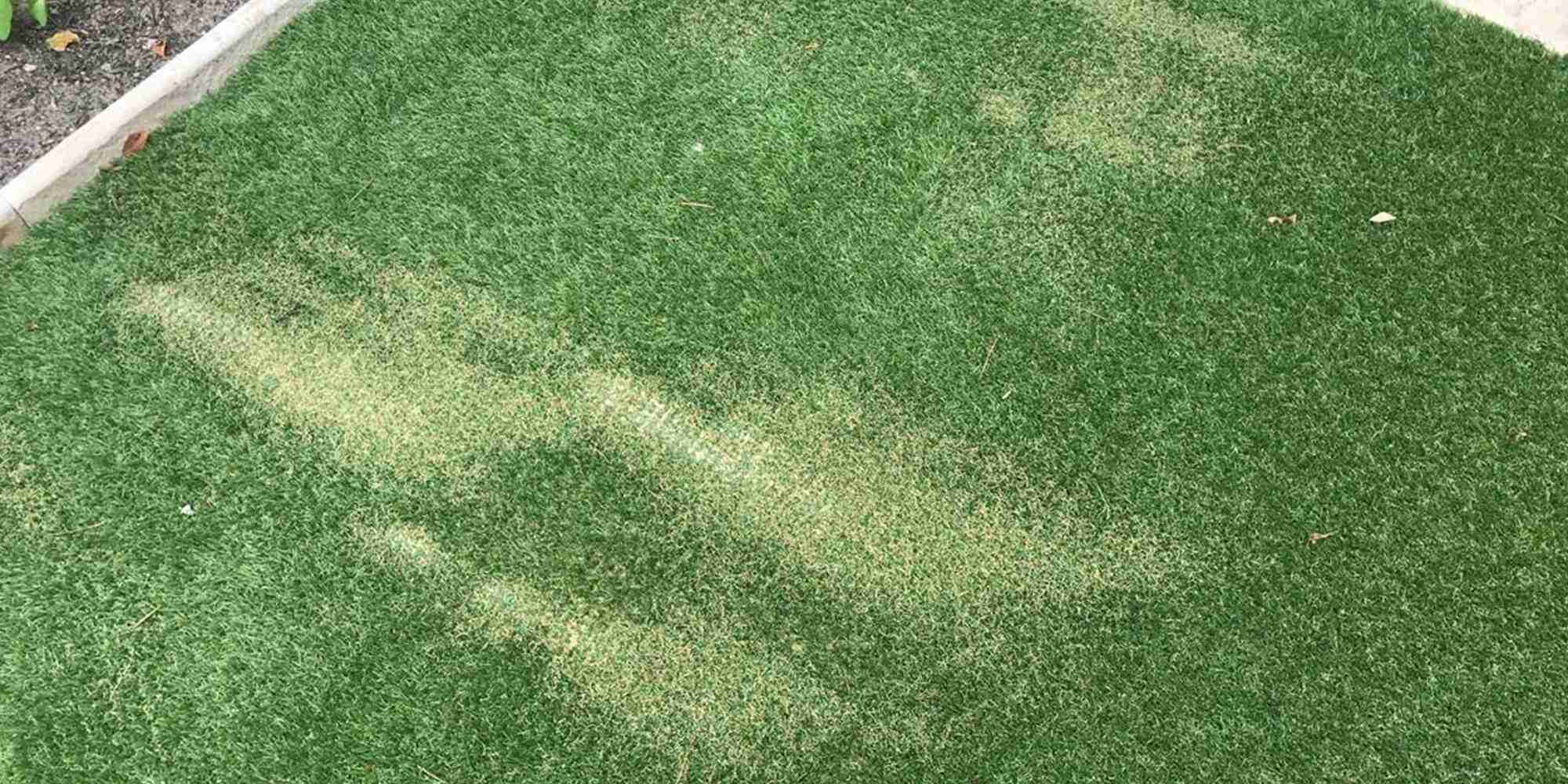 Artificial Turf Repair